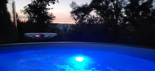 une piscine bleue avec une bougie dans un jardin dans l'établissement Les Bulles Du Coq De Champagne, à Dormans