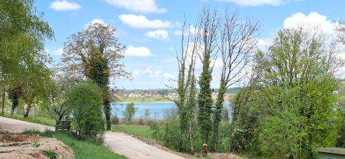 a dirt road next to a lake with trees at Gîtes aux Granges du Vilaret in Clairvaux-les-Lacs