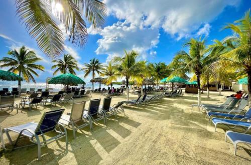 a beach with chairs and palm trees and the ocean at Las Palmas room with terrace and private bathroom in Roatan