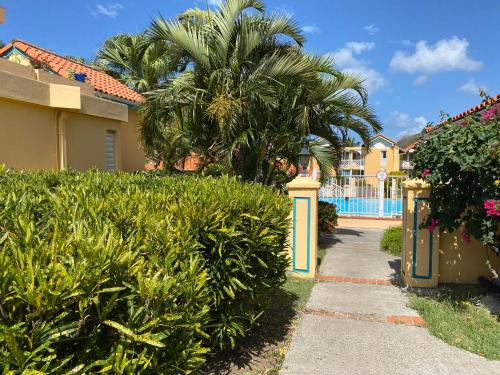 un passaggio pedonale di fronte a una casa con una palma di Cocon Tropical a Sainte-Anne