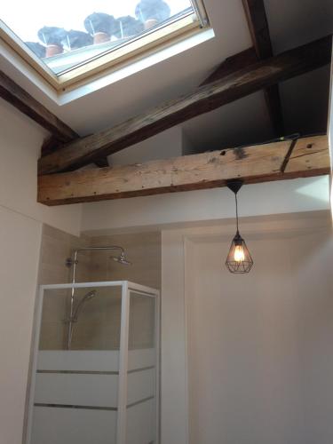 La salle de bains est pourvue d'une lucarne et d'une douche. dans l'établissement Studio ETOILE TERNES PAR MONCEAU, à Paris