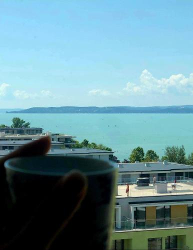 Silver Apartman - Cadet -beachfront