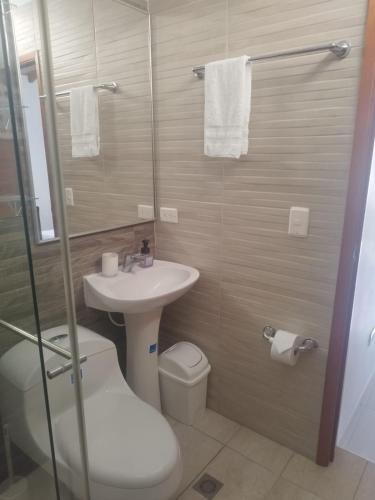 a bathroom with a sink and a toilet and a shower at Habitar de Asis in Bucaramanga
