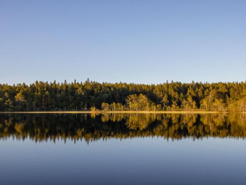 a lake with trees reflecting in the water at Holiday Home Hölick Minichalet Plus 7 by Interhome in Hudiksvall