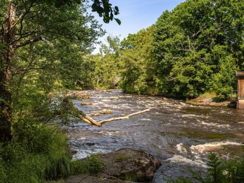 a river with a tree branch in the water at Apartment Björkliden by Interhome in Mörrum