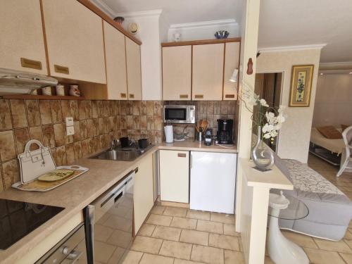 Studio à Sainte-Maxime avec piscine, climatisation, parking et animaux admis - FR-1-780-95