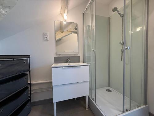 une salle de bain avec un lavabo et une douche dans l'établissement Studio cosy et rénové près de Périgueux avec Wifi et animaux admis - FR-1-839-4, à Savignac-les-Églises