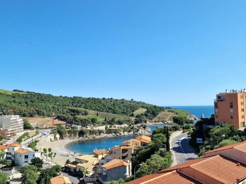 BANYULS, appt T3, 4 pers, proche plage - FR-1-309-523