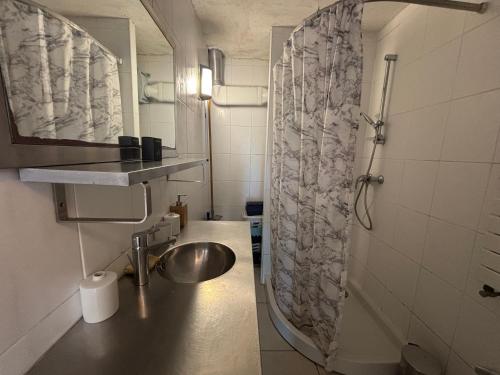 une salle de bain avec un lavabo et une douche dans l'établissement Charmante maison moderne avec terrasse et parking, cœur de Biarritz - FR-1-239-1132, à Biarritz