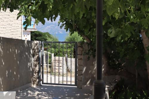 Gallery image of Fig Tree in Povlja
