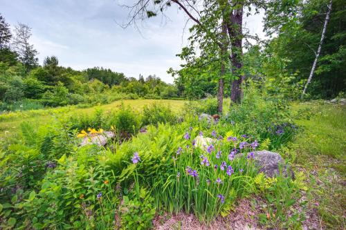 a field full of flowers in the woods at Expansive Wilmot Escape with Deck Near Skiing! in Wilmot