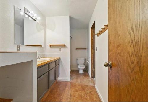 a bathroom with a sink and a toilet in it at Zoo Town House with Sauna in Missoula