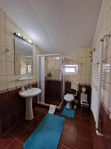 a bathroom with a sink and a shower and a toilet at Virginia Mamaia-Nord in Mamaia Sat/Năvodari