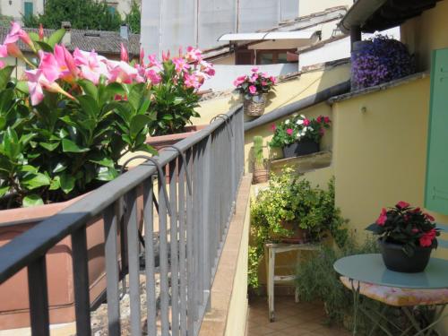 a balcony with potted plants and flowers at La Casa del Borgo Antico in Spoleto