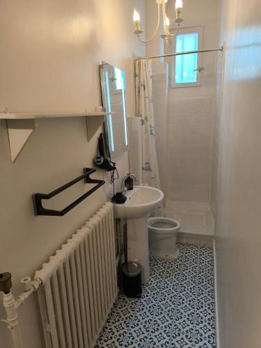 une salle de bain avec un lavabo, une douche et des toilettes dans l'établissement Large two-room apartment with garden, à Courbevoie