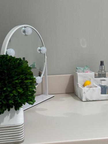 a white lamp on a white counter with a plant at Quiet Cozy Stay Spacious Home Near Beach & Shops in Hamden