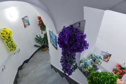 a bunch of purple flowers on a wall at L'Aurora Azzurra -Luxury Suites Sorrento coast in Piano di Sorrento