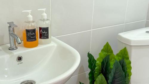 a bathroom with two bottles of soap on a sink at Kampung Nature Stilt House with Paddy Field View in Balik Pulau