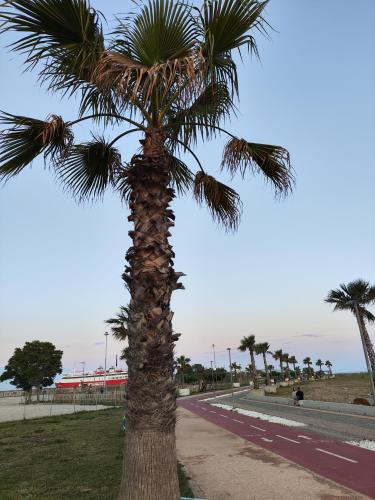 Paisaje cerca de este apartamento