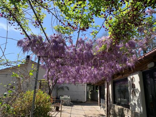 a tree covered in purple flowers on a building at Tra Fiori e Antichità in Cerchiara