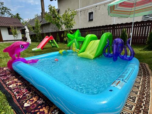 una piscina in un cortile con di Casa Chindris a Ocna Şugatag