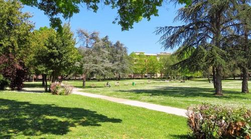 a park with green grass and trees and a path at Il Giottino in Arezzo