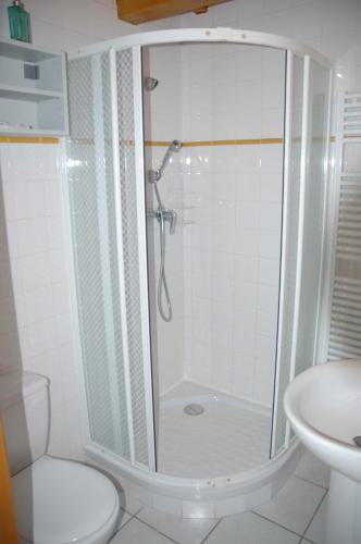 a white bathroom with a shower and a toilet at La Bardelière in Corbelin