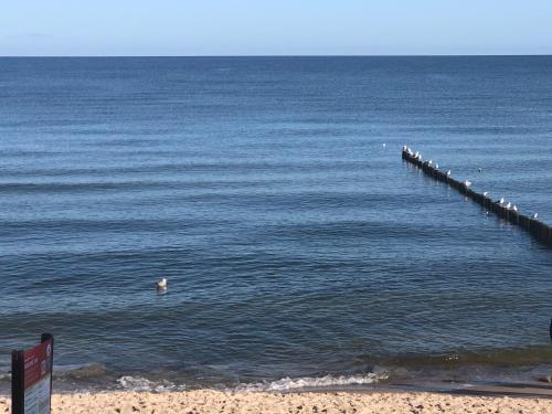 a pier in the water next to a beach at Gościniec Kaszebe in Łeba