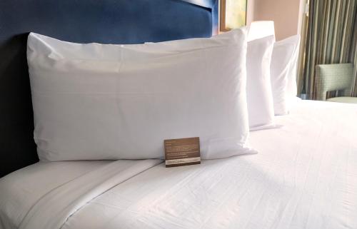 Giường trong phòng chung tại Gold Strike Casino Resort