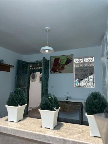 a room with three potted plants on a table at Bleu Azur - Sidi Bou Saïd in Sidi Bou Saïd