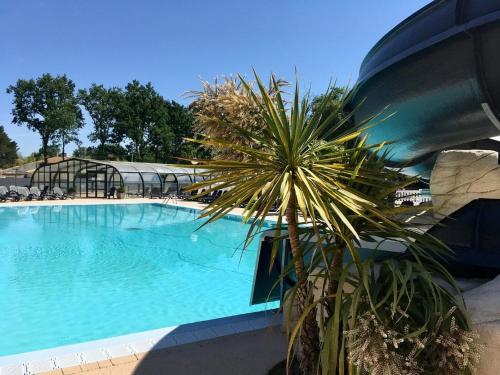un palmier en face d'une piscine dans l'établissement Soleilla - 7 kms plage - Confort - Lumineux - Détente, à Saint-Hilaire-de-Riez