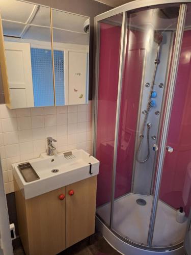 une salle de bain avec un lavabo et une douche dans l'établissement Le Saint'& Color - WIFI - close to city center - T3, à Saint-Étienne