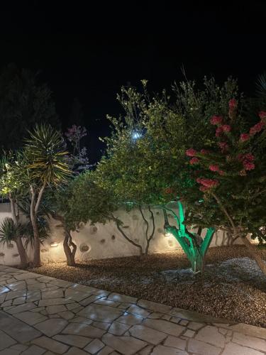 a garden at night with trees and lights at Central Parikia Stay in Parikia
