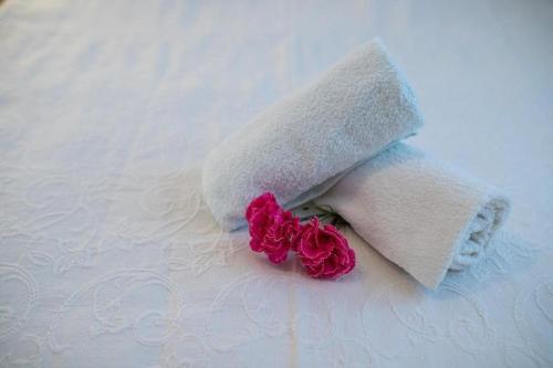 Billede fra billedgalleriet på Apartment Apartman Toni i Podaca