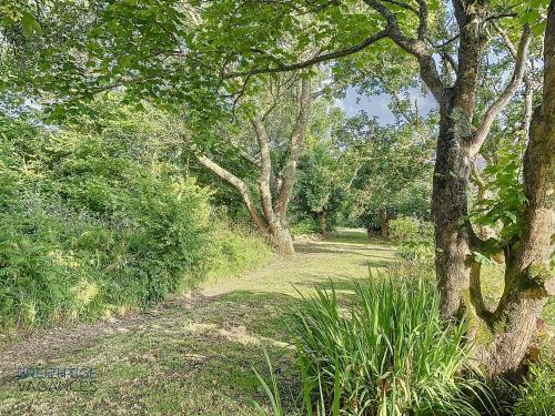 un chemin à travers une forêt plantée d'arbres et d'herbe dans l'établissement Penty Ty Gwen (Cap de la Chèvre), à Crozon