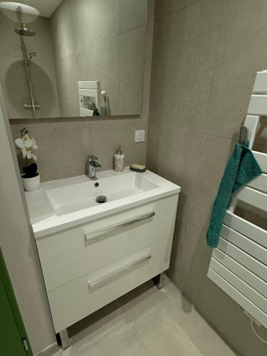 une salle de bain avec un lavabo blanc et un miroir dans l'établissement Stylish countryside house, à Houssay
