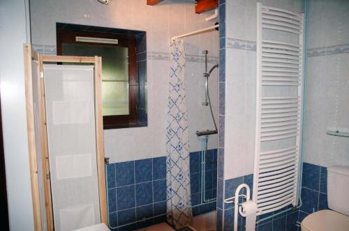a bathroom with a shower and a toilet at La Bardelière in Corbelin
