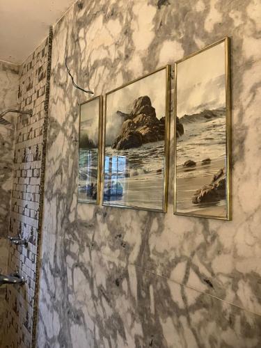 a bathroom with three paintings on a wall at The Citadel in Srinagar
