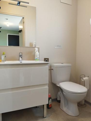 une salle de bain avec toilettes, lavabo et miroir dans l'établissement Le Rocamadour, duplex éco-conçu, 2 terrasses privatives, à Souillac