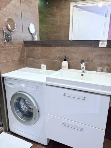 une salle de bain avec une machine à laver et un lavabo dans l'établissement Au Richebourg Nogent, à Nogent-sur-Seine