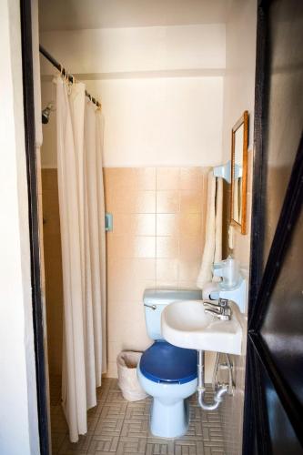 a bathroom with a blue toilet and a sink at Hotel Posada Santa Anita in Taxco de Alarcón