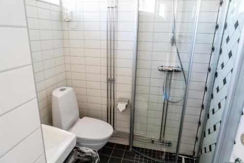 uma casa de banho com um WC e um chuveiro em Enoks i Láddjujávri em Nikkaluokta