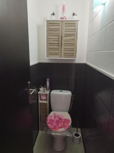 une salle de bain avec des toilettes avec une cuvette rose dessus dans l'établissement Escapade du Roi Henri IV à PAU MAISON Entièrement Privée 6 Personnes & BÉBÉ avec Piscine, SPA, Braséro & Plancha Idéal Vacances, Week-end, Repos ou Télétravail, à Pau