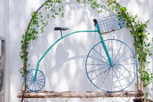 a blue bike on a wall with ivy at Casa Yollotzin in Ajijic