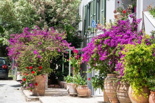 Bookamvillia Apartment