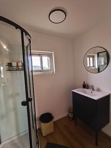 une salle de bain avec un lavabo et un miroir dans l'établissement T2 neuf tout confort style industriel -centre Agen, à Agen