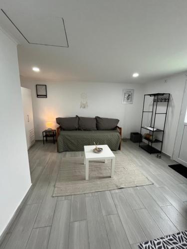 a living room with a couch and a coffee table at Encanto do Alva in Friumes