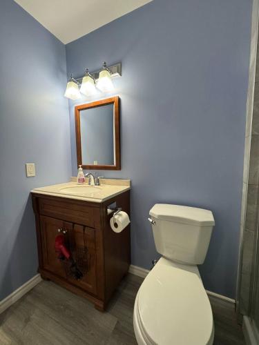 a bathroom with a toilet and a sink and a mirror at Heavenly Cozy Place Inc in Airdrie