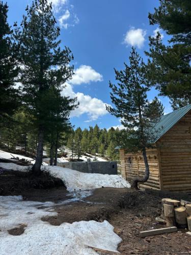 a cabin with snow and trees in front of it at Aleos cabin in Kolgecaj