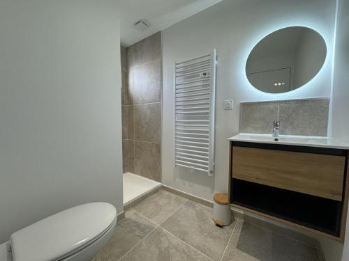 une salle de bain avec toilettes, lavabo et miroir dans l'établissement Duplex in Le Mans near 24 Hours Circuit, au Mans